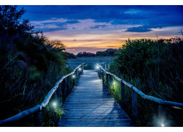 Bornes d’éclairage led IP65 IK06 BALI 8