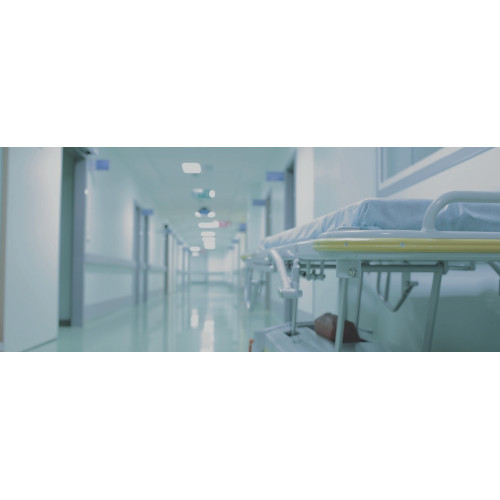 PLAFONNIER LED à DIFFUSEUR OPALE OPALINE 65CM