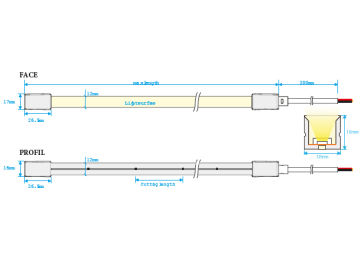 RUBAN LED NEON FLEX 10W/M