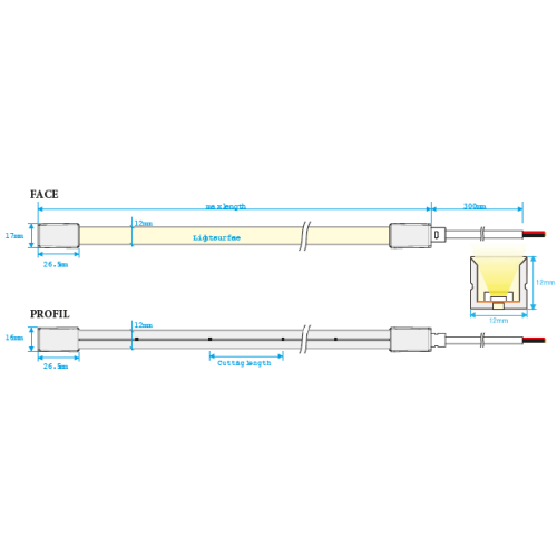 RUBAN LED NEON FLEX 10W/M