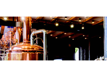 PROJECTEURS LED GU10 POUR RAIL 3 ALLUMAGES SANS LAMPE BLANC