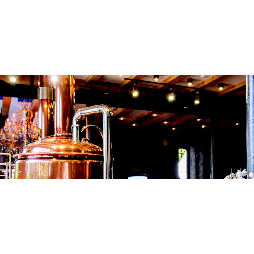 PROJECTEURS LED GU10 POUR RAIL 3 ALLUMAGES SANS LAMPE BLANC